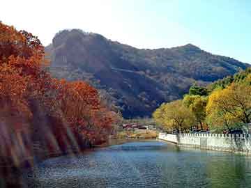 澳门二四六天天彩图库，透视仙医